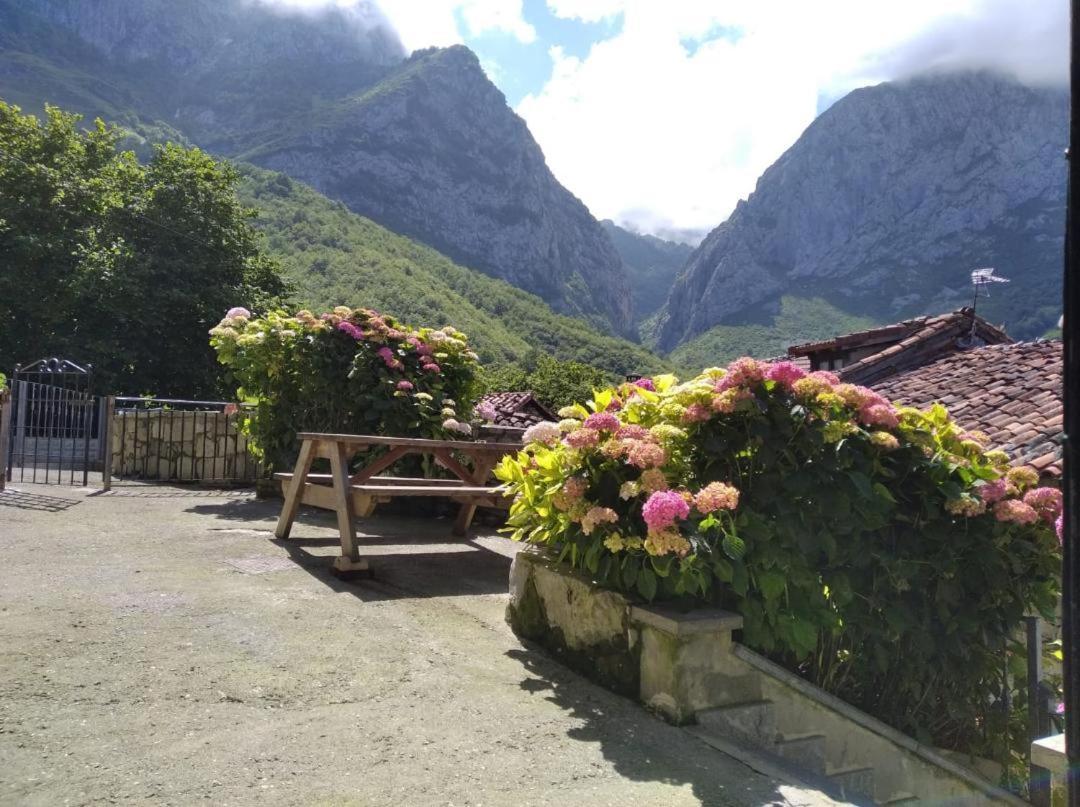 La Xiana Guest House Taranes Exterior photo