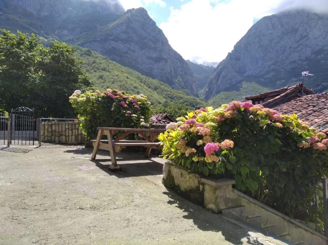 La Xiana Guest House Taranes Exterior photo