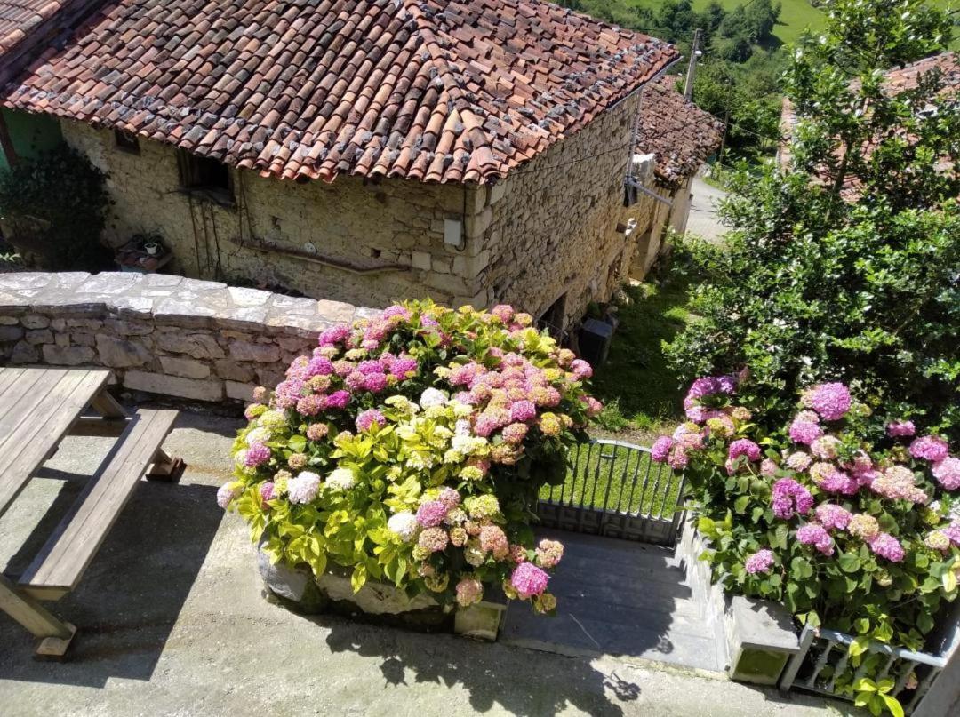 La Xiana Guest House Taranes Exterior photo